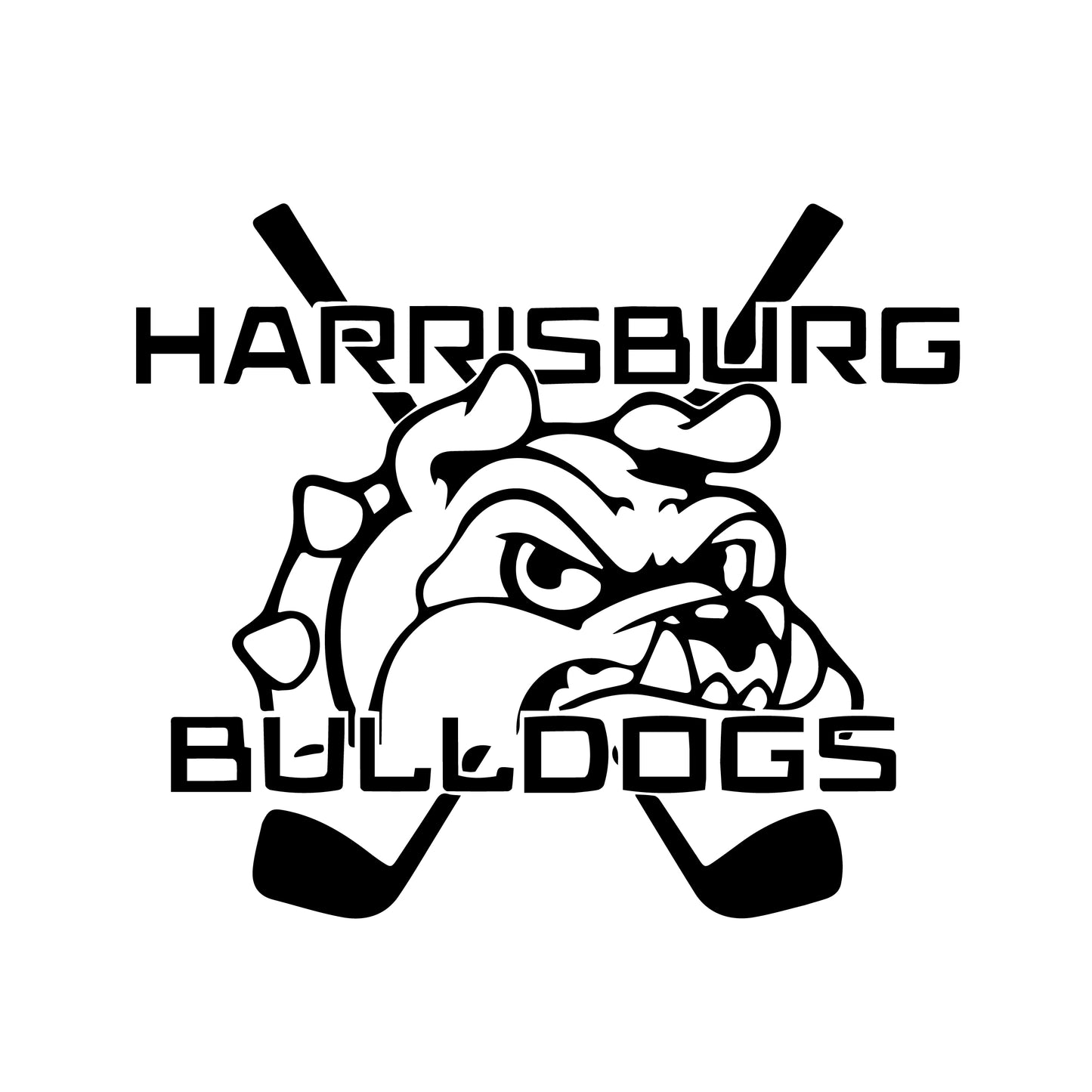 Harrisburg Activity Slate Coasters