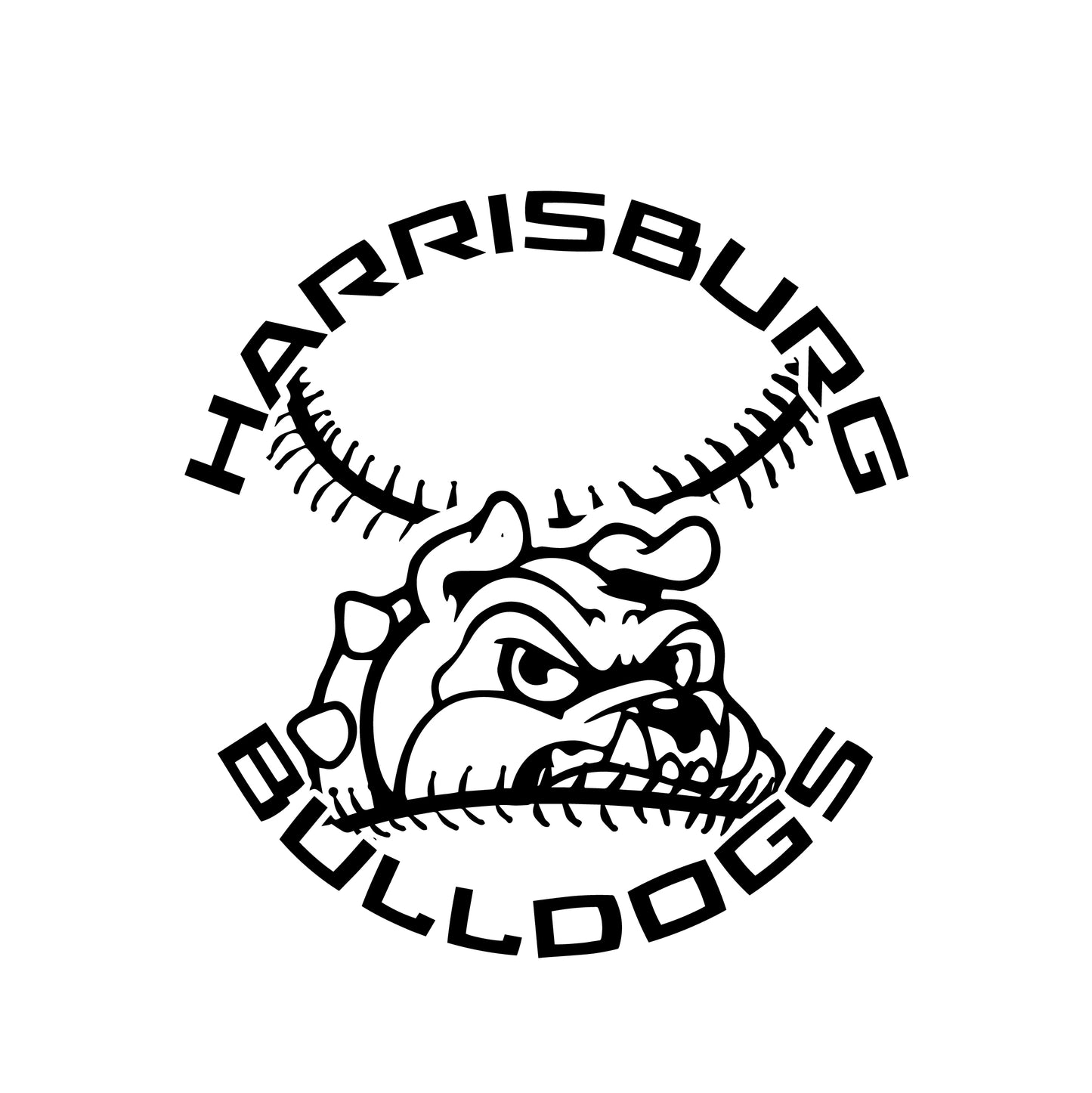 Harrisburg Activity Slate Coasters